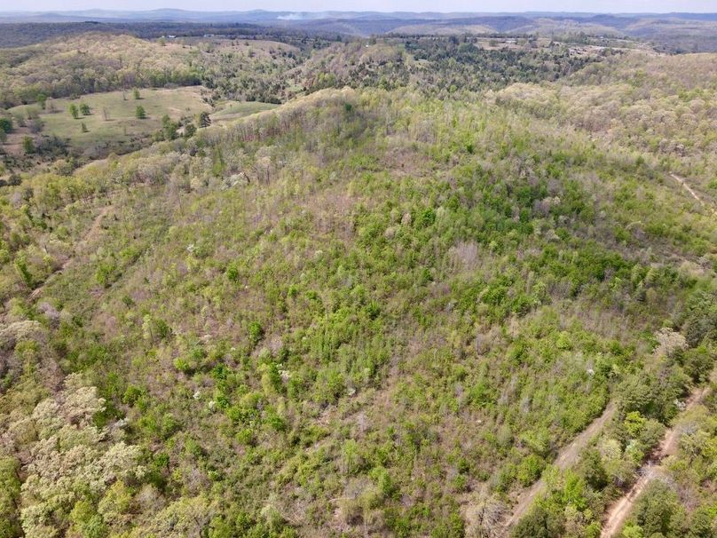 89544344-04AB-4D3E-8EA1-803AD8DFDD3D_1_201_a-2