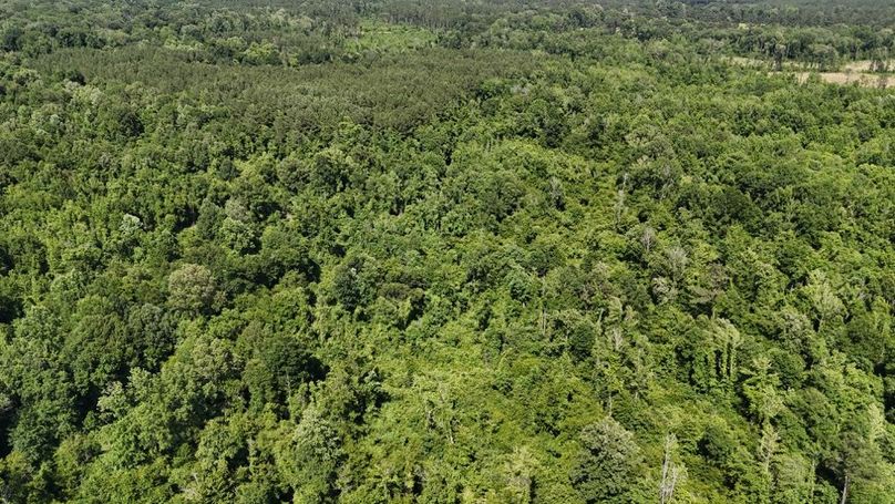 dji_fly_20250526_044418_0017_1748267950964_photo