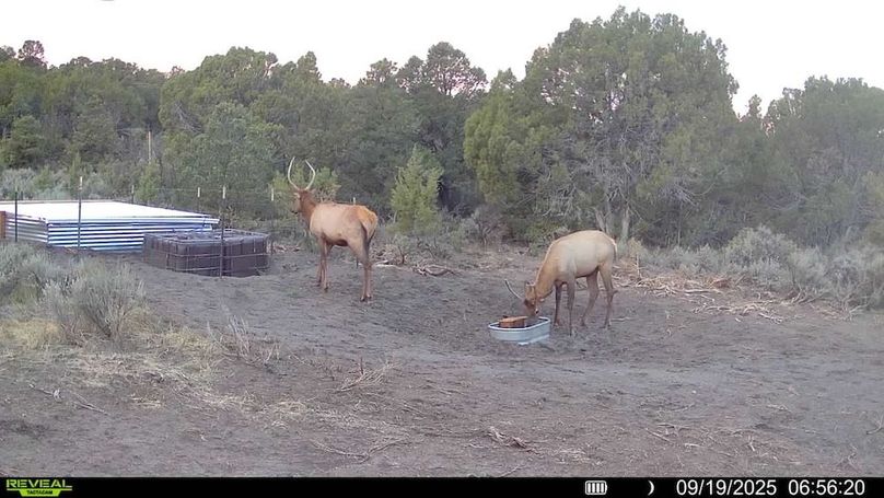 016578004060205-100-3-09192025065620-V-SYFW00129