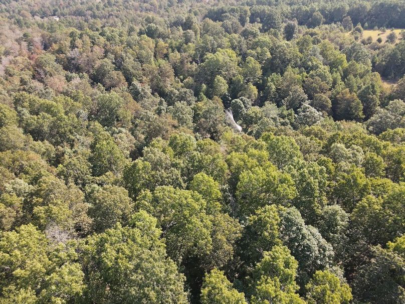 dji_fly_20250902_095738_736_1756825070141_photo