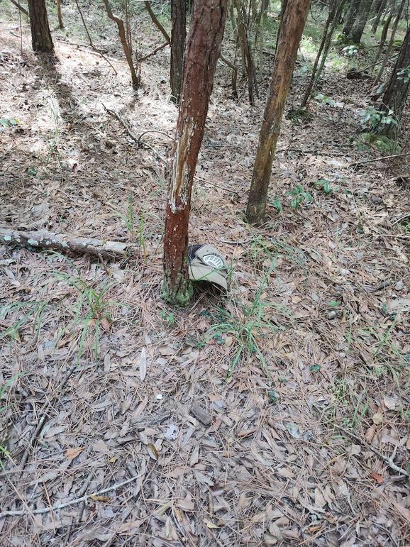 IMG_20250830_120110117