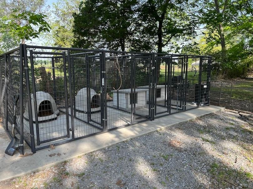 (41a)Dog Pens