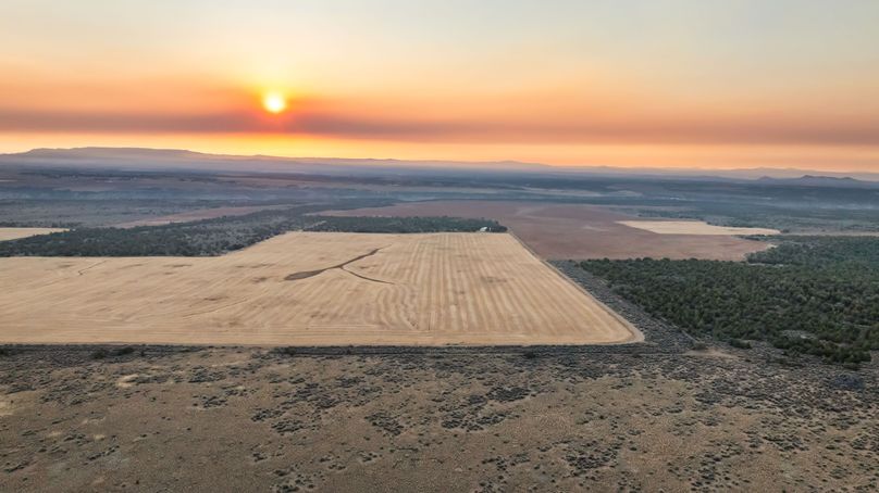 DJI_0492_1