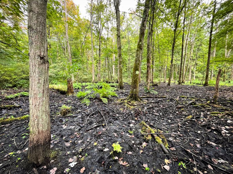 Ontario_16.2_Eddington Photo 13