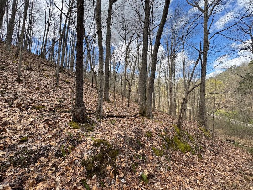 Wirt, WV 62.5 AC Full-09