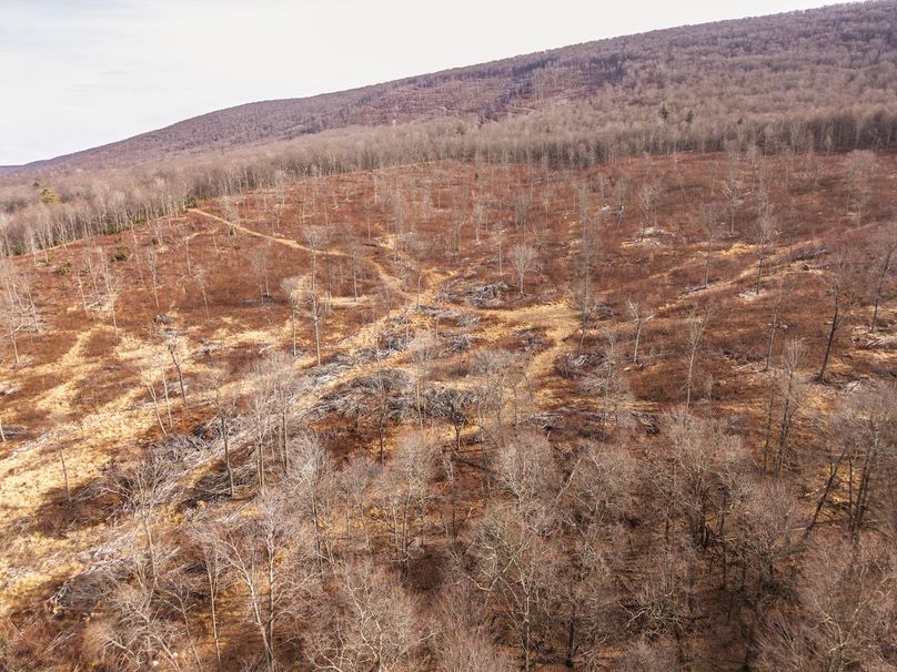 DJI_20260122134113_0046_D