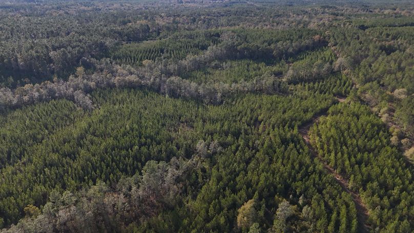 DJI_20231213151634_0015_D