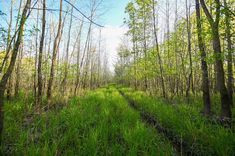 vandalia 450 (2)-3015