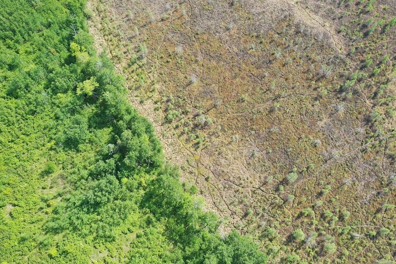 DJI_0356