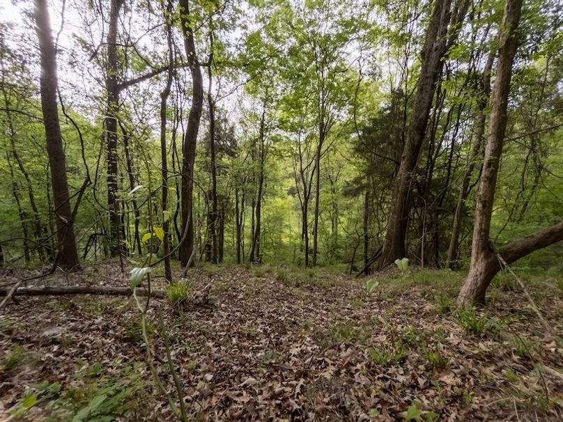 Claiborne Co-314-Fernandez-88