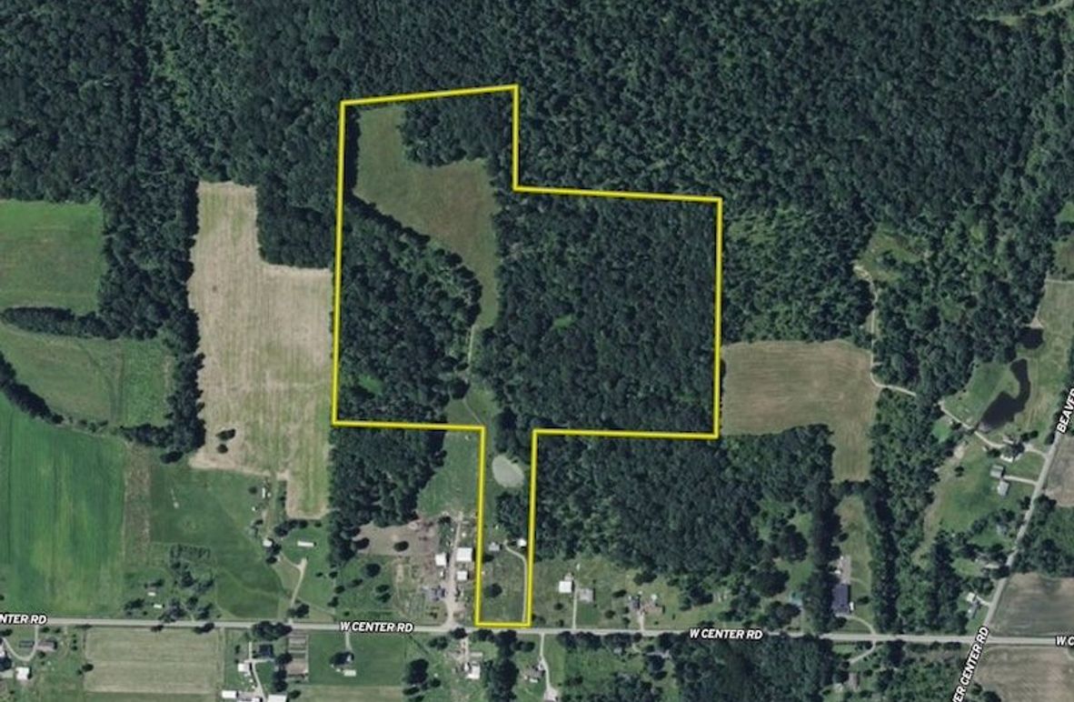 Screen Shot 2025-05-13 at 8.25.28 AM