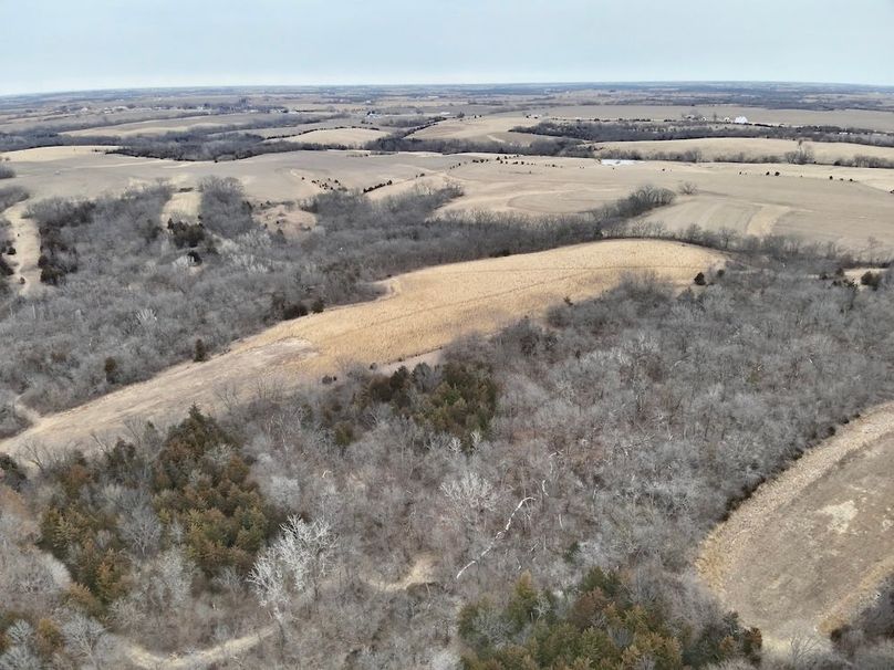 68BC8086-3B63-4EFA-A812-FDFD7D39B793_1_201_a