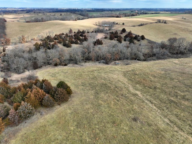 DJI_0869