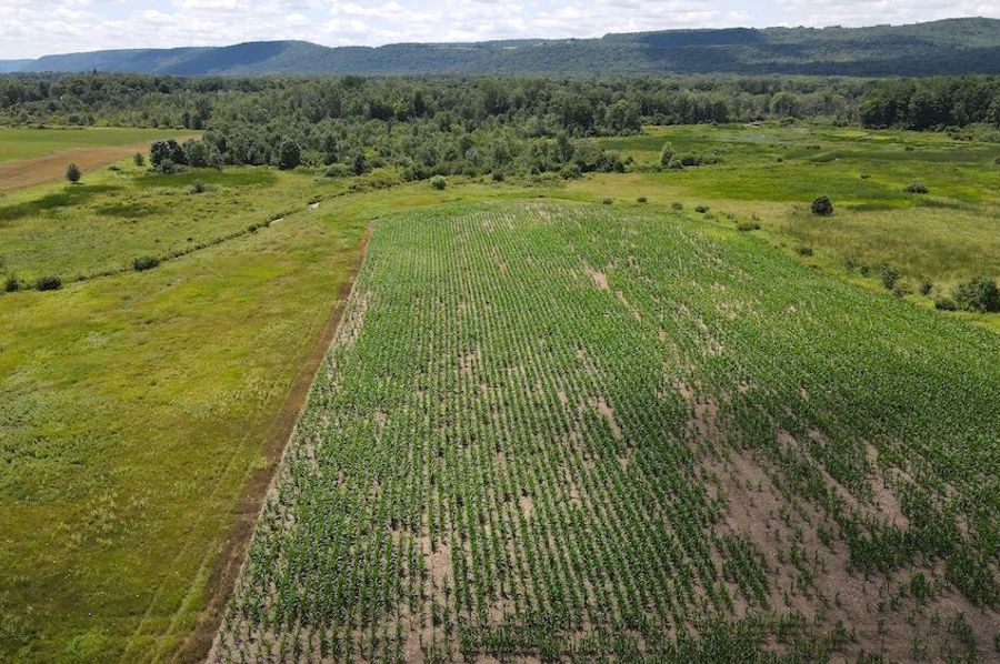 4 dji_fly_20240719_140222_472_1721412154092_photo