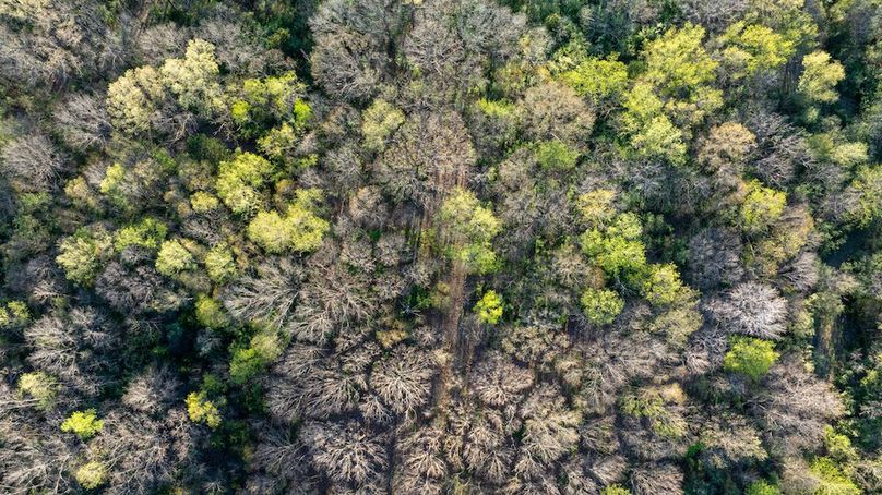 DJI_20260406181705_0014_D