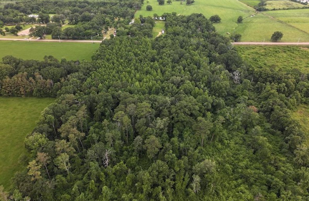 dji_fly_20250624_092724_0116_1750950823415_photo