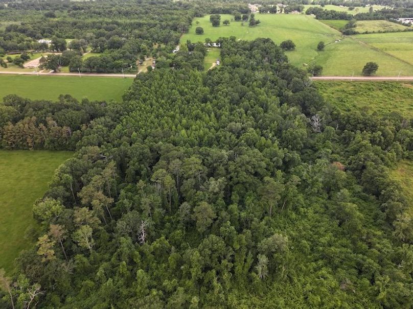 dji_fly_20250624_092724_0116_1750950823415_photo