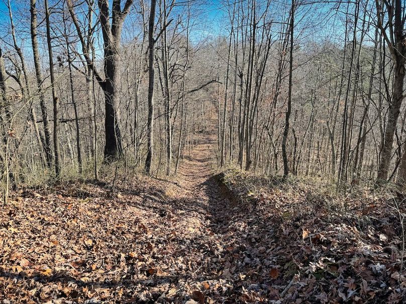 026 more nice trails