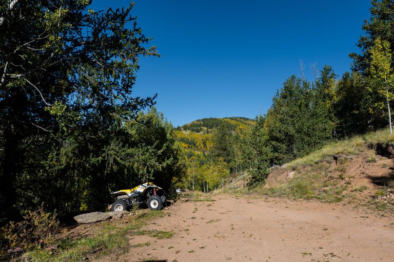 Teller Co 4.65 Thomas - 05 Pad