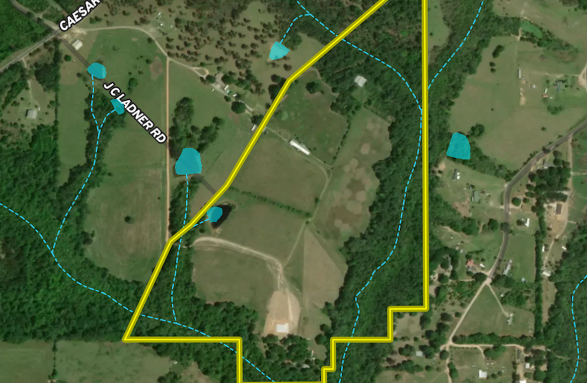 Screen Shot 2025-12-15 at 12.12.39 PM