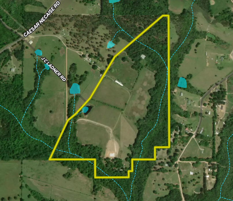 Screen Shot 2025-12-15 at 12.12.39 PM