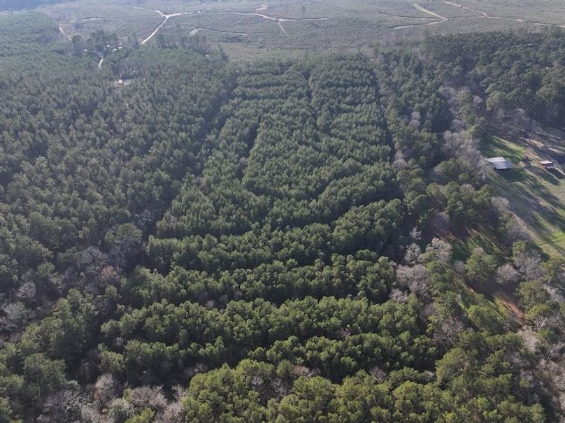 dji_fly_20260216_152050_0082_1771284234303_photo