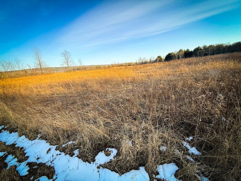 Seneca_24.54_Hohwald_Photos_46