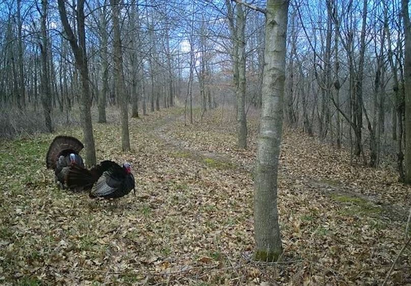 865509050473549-100-4-05032022145051-W1000255