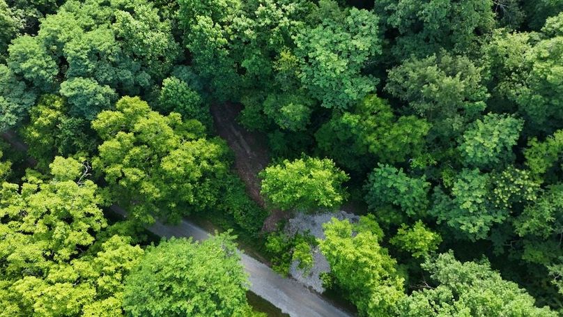 DJI_20250712094403_0764_D