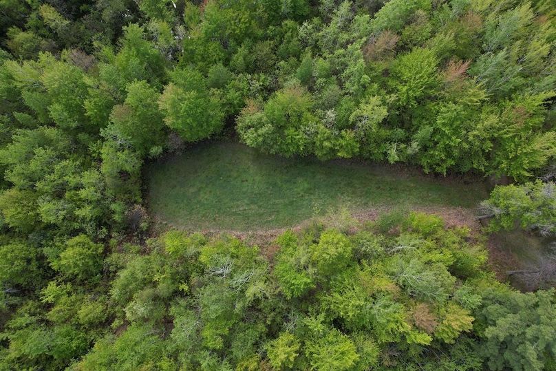 DJI_0098