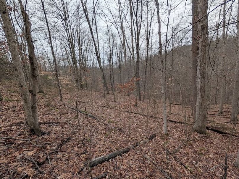 PXL_20260107_204744943