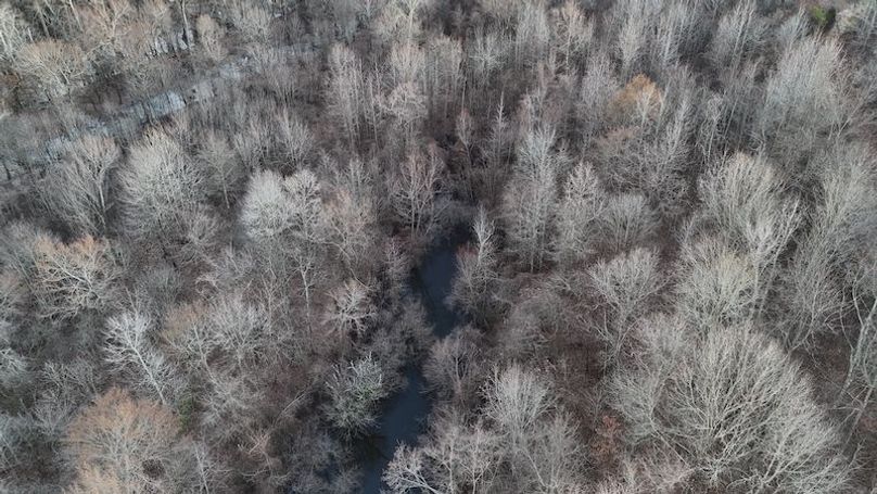 311 new20260217_0458