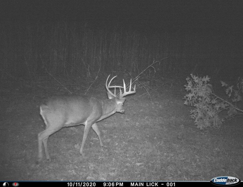Sauk 174 Trailcam - 62