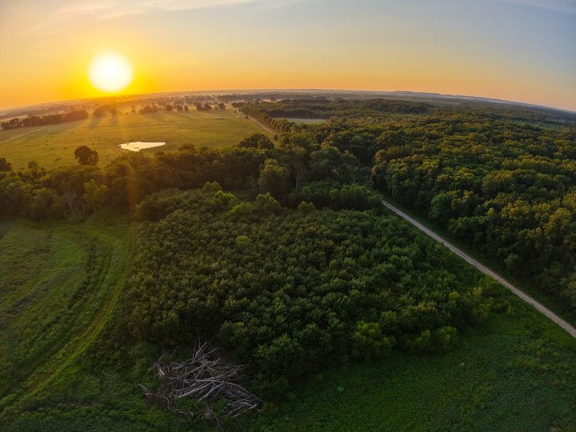 DJI_20250823070339_0908_D