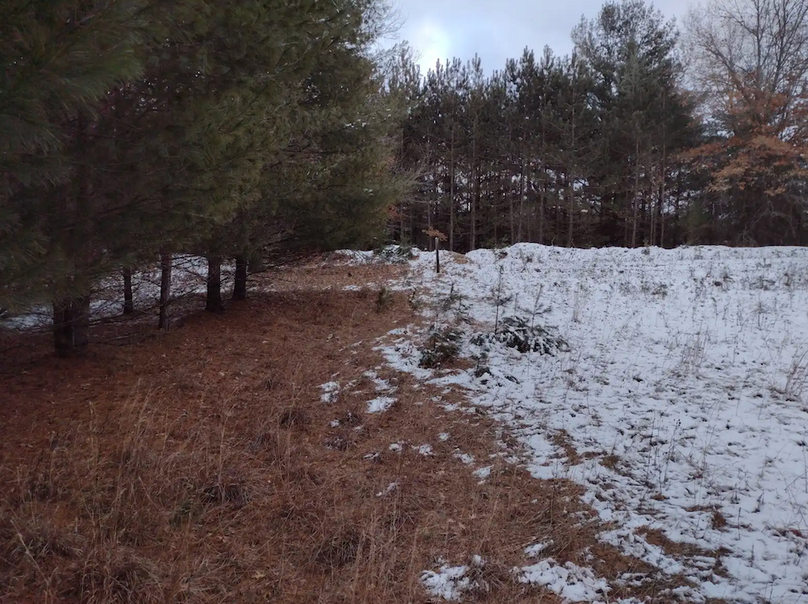 Screenshot 2026-03-03 at 9.55.46 AM