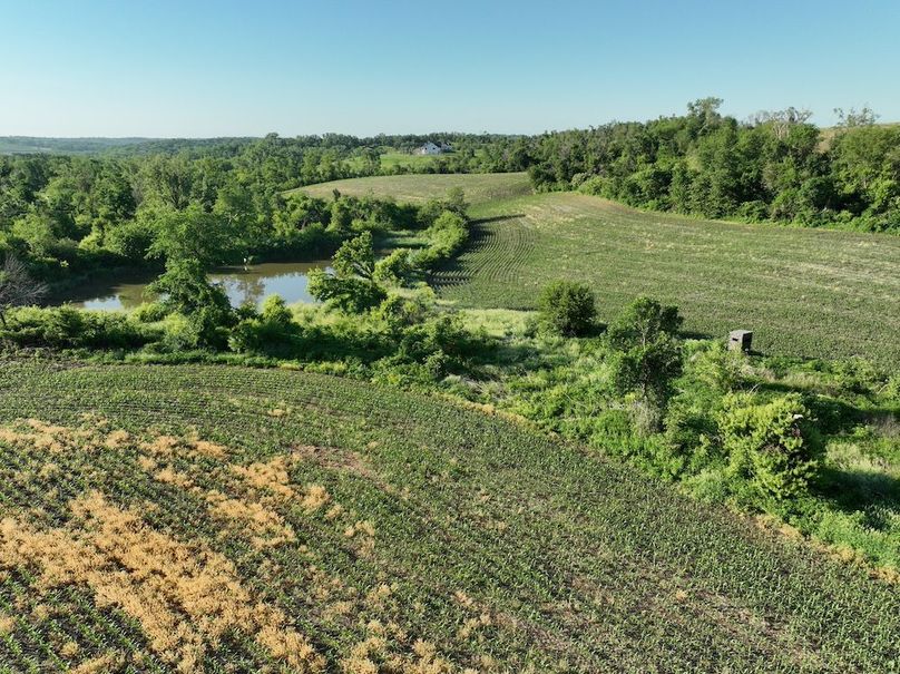 dji_fly_20260601_075924_519_1780319394541_photo