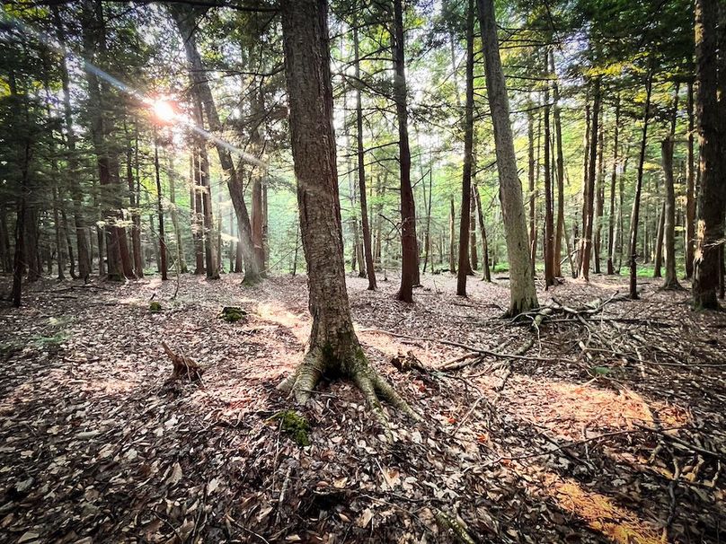 Oswego_25.66_Pettit_Photos_39