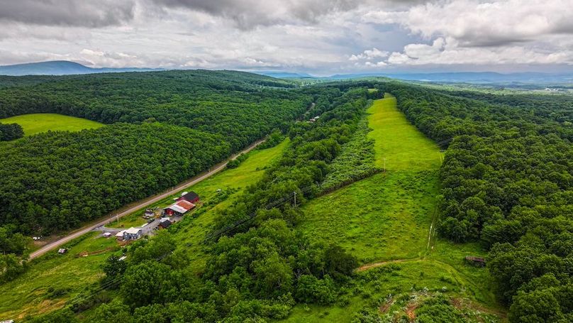 Bedford,121,Beegle-41