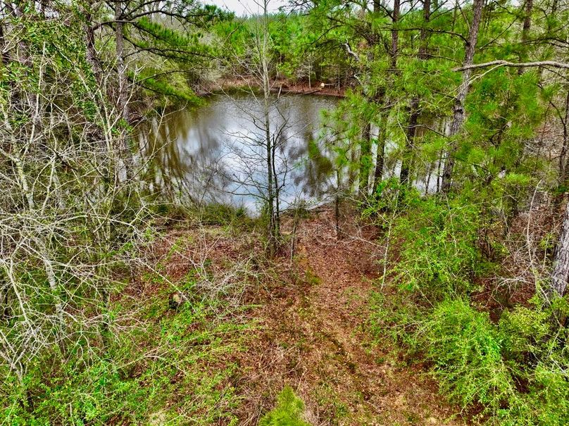 D238AC9D-E743-4033-866B-210B27787848_1_105_c