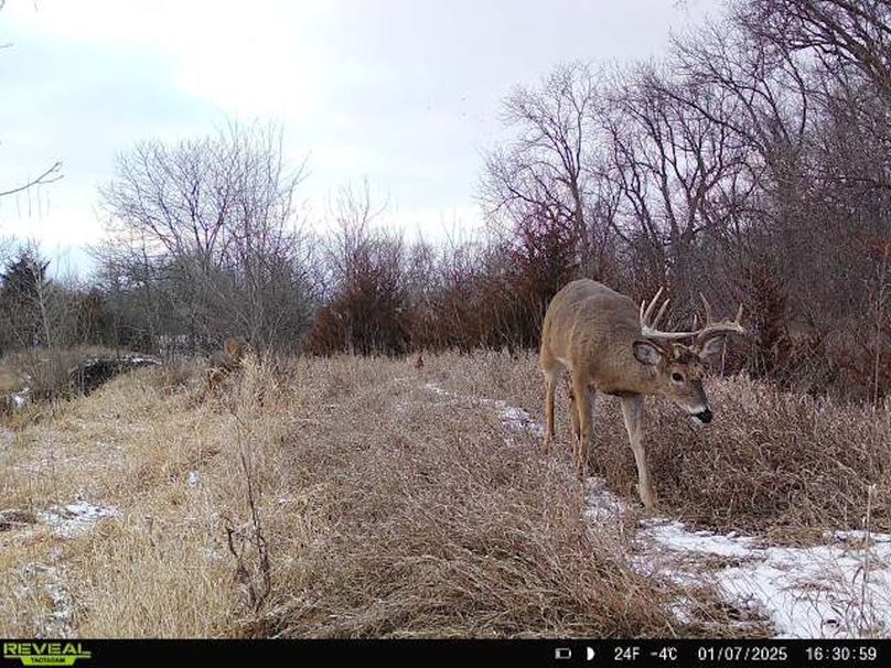 864049056683016-1-3-01072025163058-W1001914