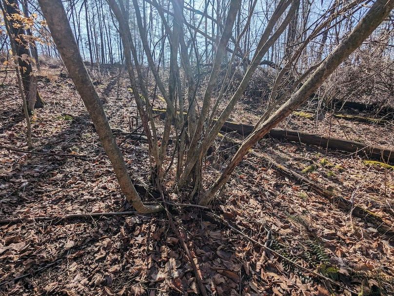 PXL_20240223_164230589