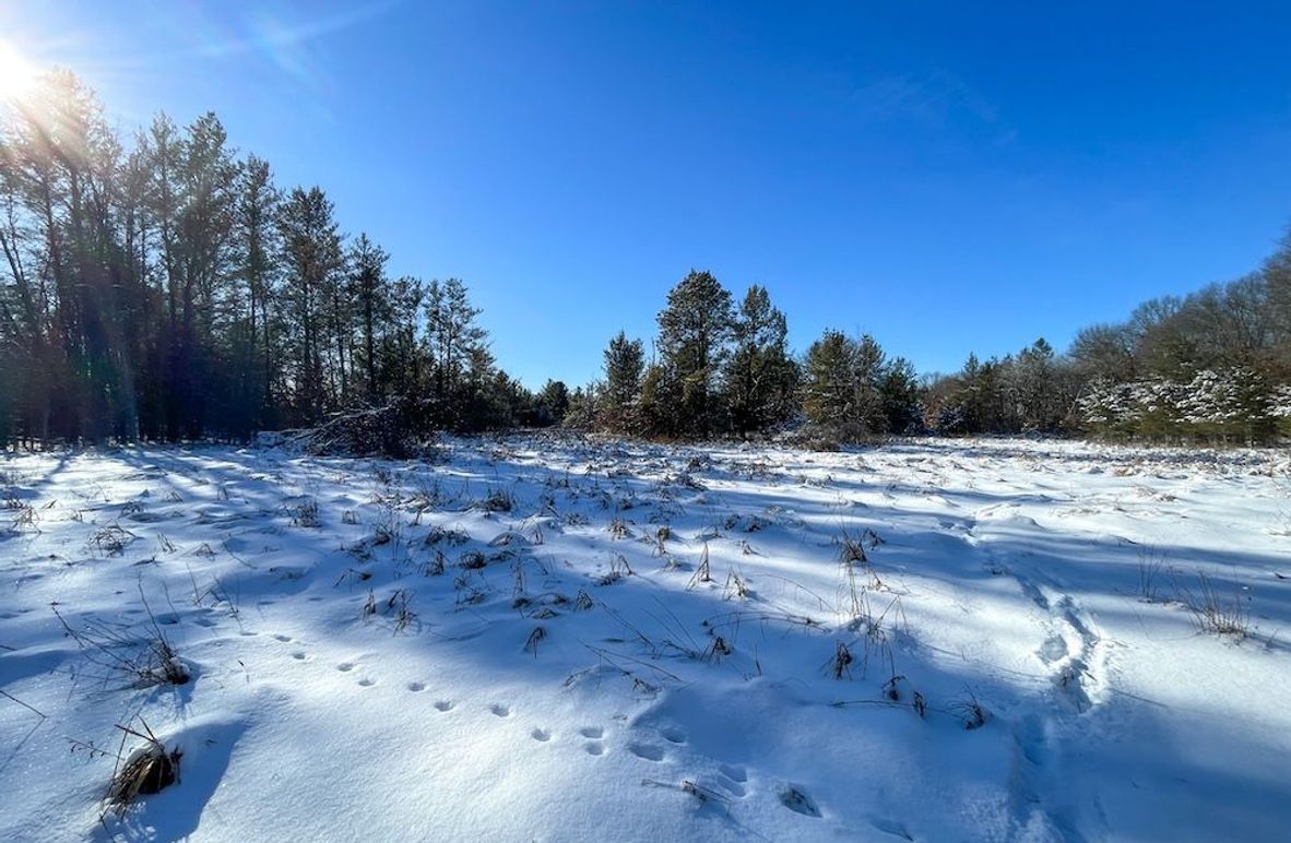 Juneau 105 Cantic -02