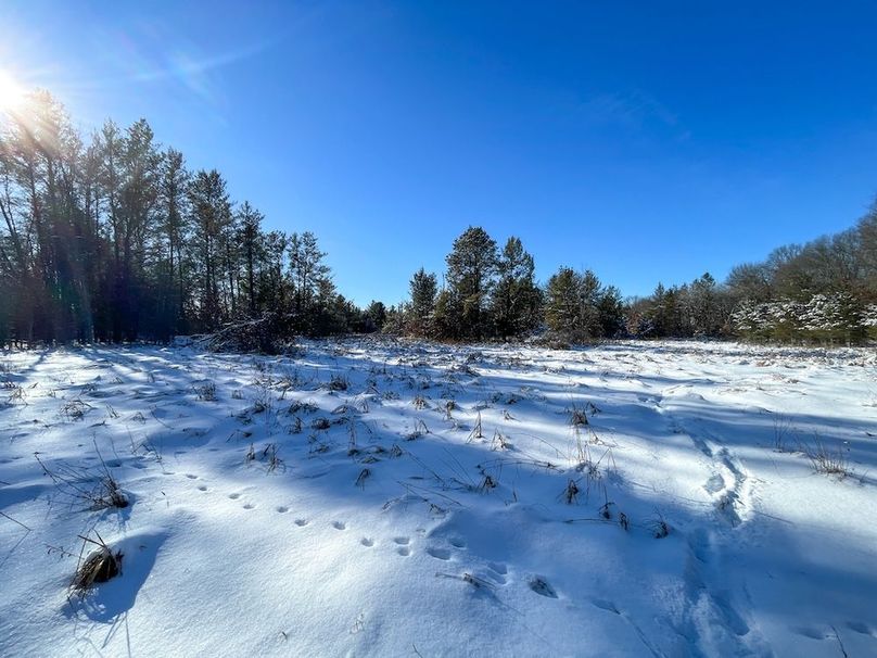 Juneau 105 Cantic -02