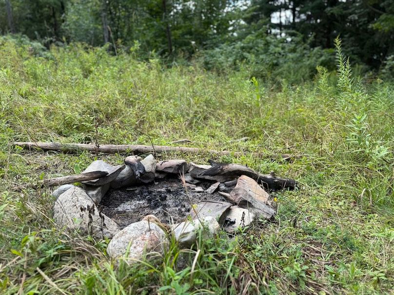 Ontario_2.7_Proseus Photo 6