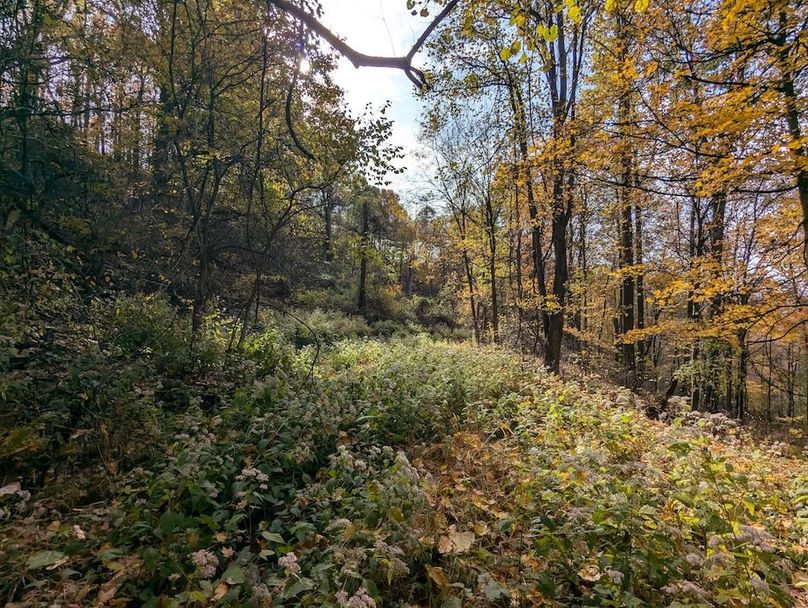 PXL_20251101_181524627