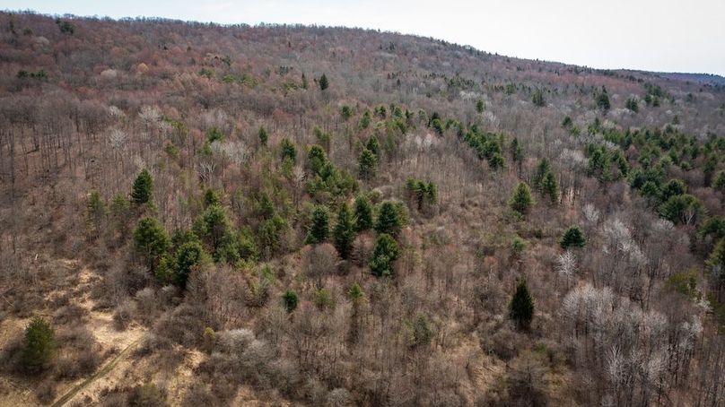 Tioga__NY_109.7_Burris_Photos_44