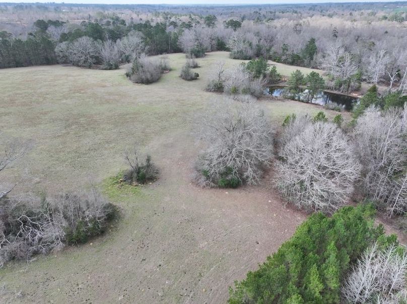 dji_fly_20260220_141026_0267_1771638830275_photo