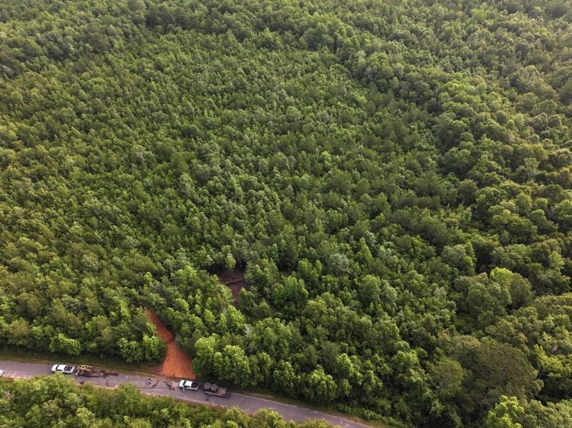 dji_fly_20250612_080124_0080_1750261393051_photo