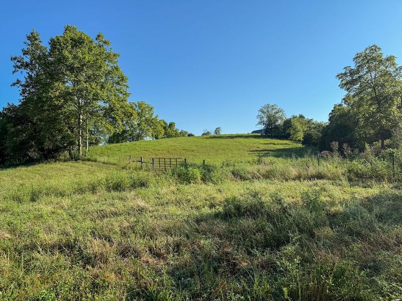 Fleming 32.98 new pic -07