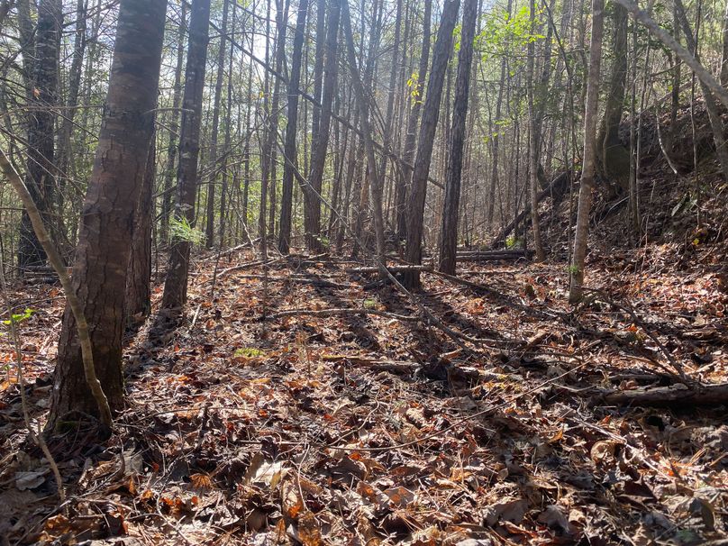 Cherokee 7.47 Herzog-07